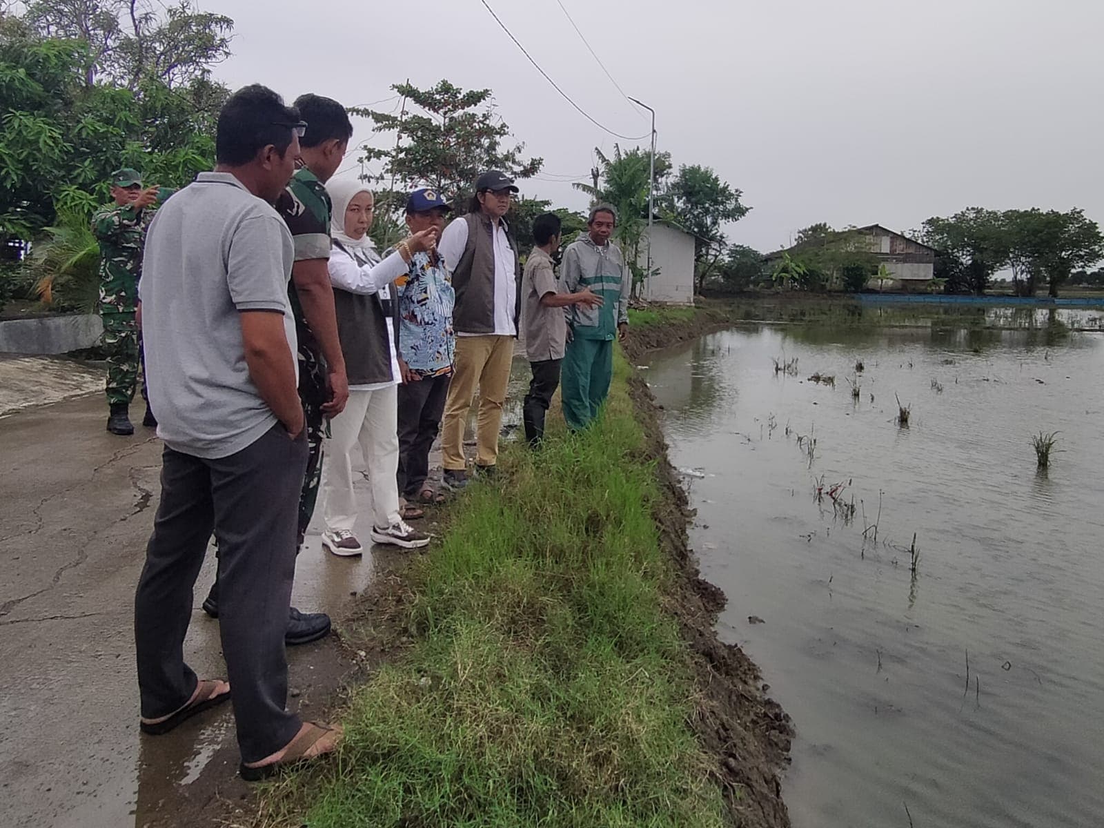 Bulog Sosialisasikan Penyerapan GKP Rp6.500 per Kg Jelang Panen Raya di Indramayu