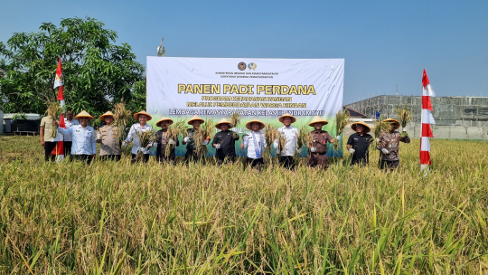 Panen Raya di Lapas Indramayu, Ketahanan Pangan Tumbuh dari Balik Jeruji