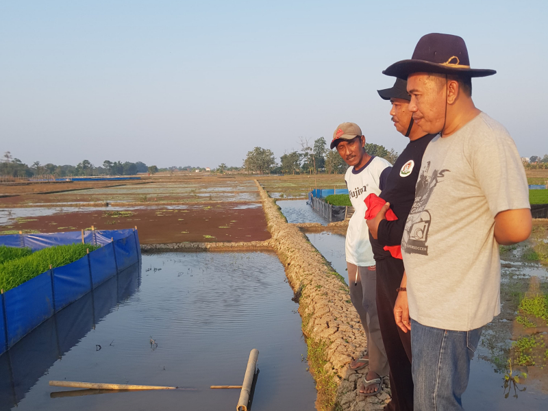 Ketua Fraksi PDI Perjuangan DPRD Indramayu Kritik Program Ular Sahabat Tani: Jangan Berhenti di Panggung Seremoni