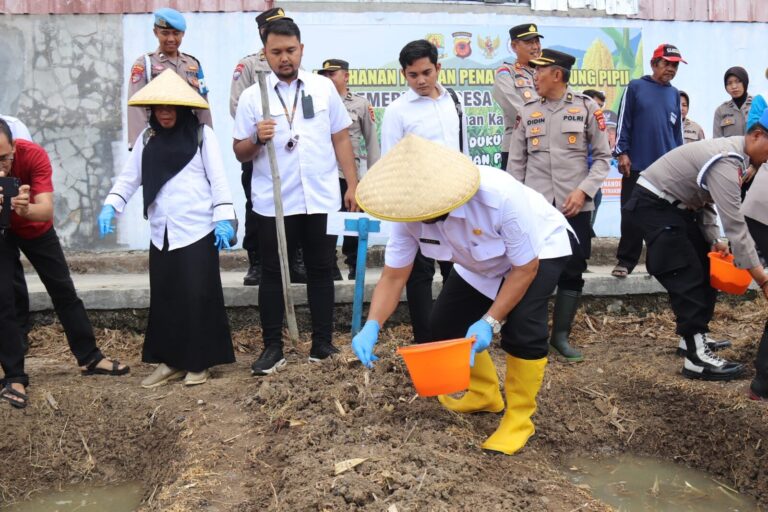 Perkuat Ketahanan Pangan, ‎Pemkab dan Polresta Cirebon Kolaborasi Tanam Jagung Pipil